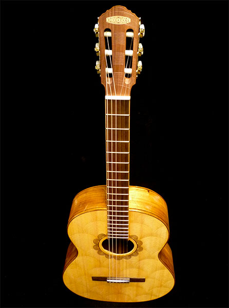 Caring for your Blueberry Guitar - Humidity