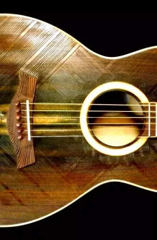 Blueberry Handmade Parlor Size Acoustic Guitar Horse Motif Pre-Order 90 Days