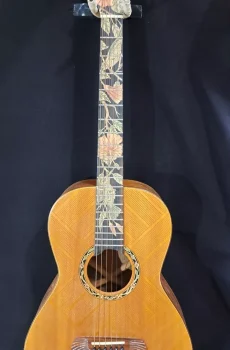 Blueberry Handmade Parlor Size Acoustic Guitar Bird Motif Pre-Order 90 Days