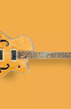 Blueberry Handmade Hollow Body Electric Guitar Rapunzel Motif Pre-Order 90 Days