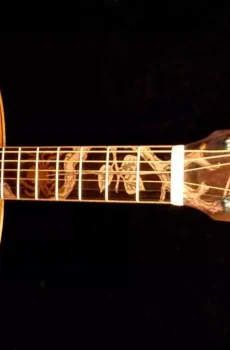 Blueberry Handmade Grand Concert Acoustic Guitar Spider Motif Pre-Order 90 Days