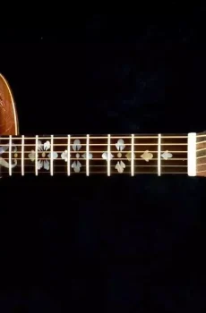 Blueberry Handmade Grand Concert Acoustic Guitar Floral Pre-Order 90 Days