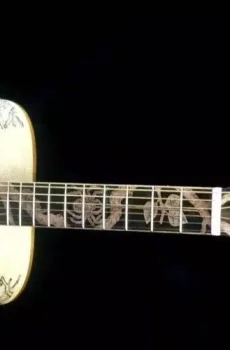 Blueberry Handmade Dreadnought Acoustic Guitar Spider Motif Pre-Order 90 Days