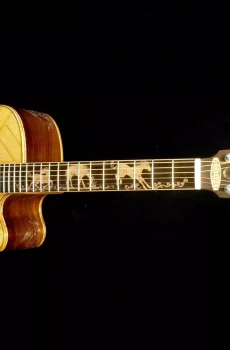 Blueberry Handmade Dreadnought Acoustic Guitar Horses Motif Pre-Order 90 Days