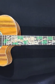 Blueberry Handmade Grand Concert Acoustic Cutaway Guitar Tiger Pre-Order 90 Days