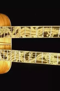 Blueberry Handmade Double Neck Acoustic Guitar Lizards FanFret Pre-Order 90 Days