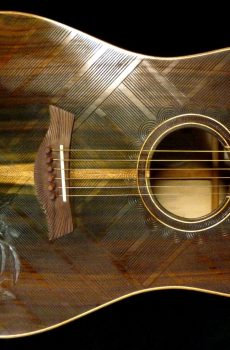 Acoustic Dreadnought Guitar Handmade by Blueberry Birds Motif Pre-Order 90 Days