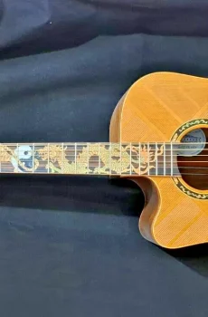 Blueberry Lefty Handmade Acoustic Guitar Dreadnought Dragon Pre-Order 90 Days