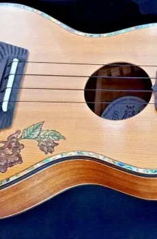 Blueberry Handmade Tenor Ukulele Floral Motif Pre-Order 90 DaysBlueberry Handmade Tenor Ukulele Floral Motif Pre-Order 90 Days