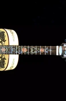 Blueberry Handmade Twelve String Acoustic Guitar Floral Motif Pre-Order 90 Days