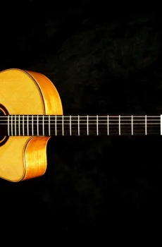 Blueberry Handmade Jumbo Size Classical Nylon String Guitar Pre-Order 90 Days