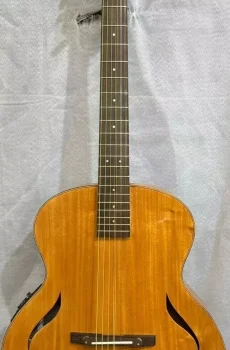 Blueberry Handmade Nine String 9-String Archtop Guitar Pre-Order 90 Days