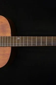 Blueberry Handmade Archtop Acoustic Guitar Built to Order in 90-Days