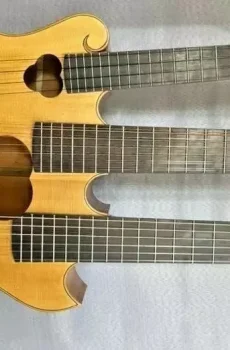 Blueberry Handmade Triple-Neck Acoustic and Classical Guitar Pre-Order 90 Days