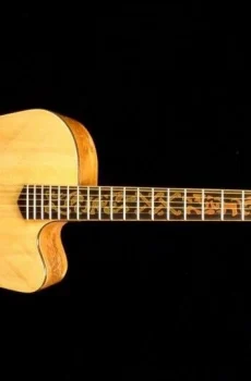 Blueberry Handmade Acoustic Dreadnought Guitar Celtic Motif Pre-Order 90 Days