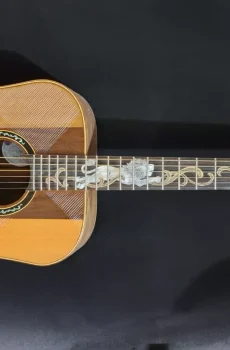 Blueberry Handmade Dreadnought Size Acoustic Guitar Lions Motif