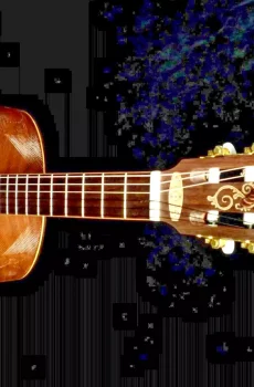 Blueberry Handmade Classical Nylon String Guitar Faith Built to Order in 90 Days