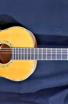 Blueberry Handmade Classical Nylon String Guitar Floral Motif Pre-Order 90 Days