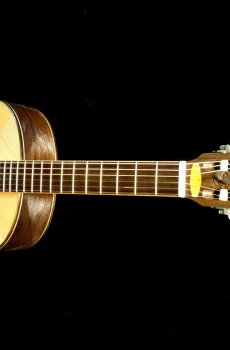 Blueberry Handmade Classical Nylon String Guitar Horses Motif Pre-Order 90 Days