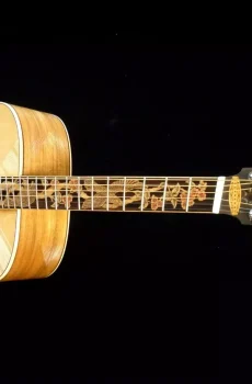 Blueberry Handmade Jumbo Fanned Fret Acoustic Guitar Eagle Pre-Order 90 Days