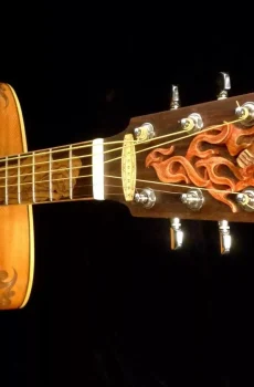 Blueberry Handmade Jumbo Size Acoustic Guitar Reaper Motif Pre-Order 90 Days