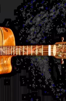 Blueberry Handmade Jumbo Size Acoustic Guitar Owl Motif Pre-Order 90 Days