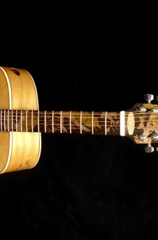 Blueberry Handmade Twelve-String Jumbo Acoustic Guitar Eagle Pre-Order 90 Days