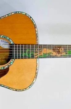 Blueberry Handmade Jumbo Size Acoustic Guitar Lions Motif Pre-Order 90 Days